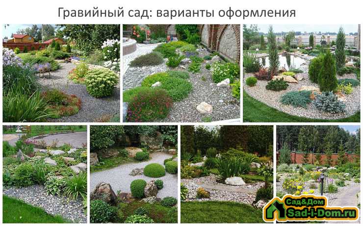Гравийный сад: варианты оформления
