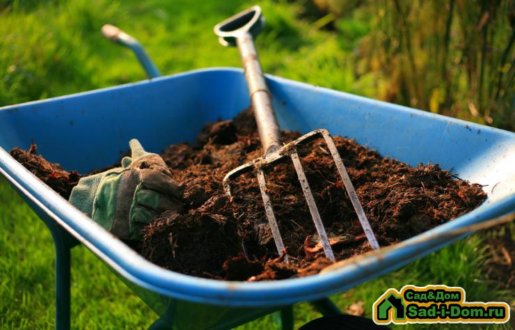 как улучшить почву в саду