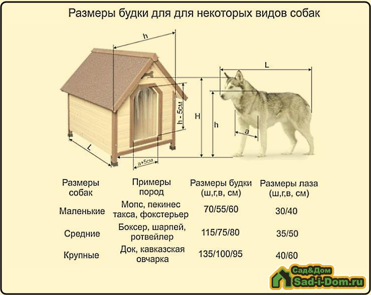 Размеры будки для разных видов собак